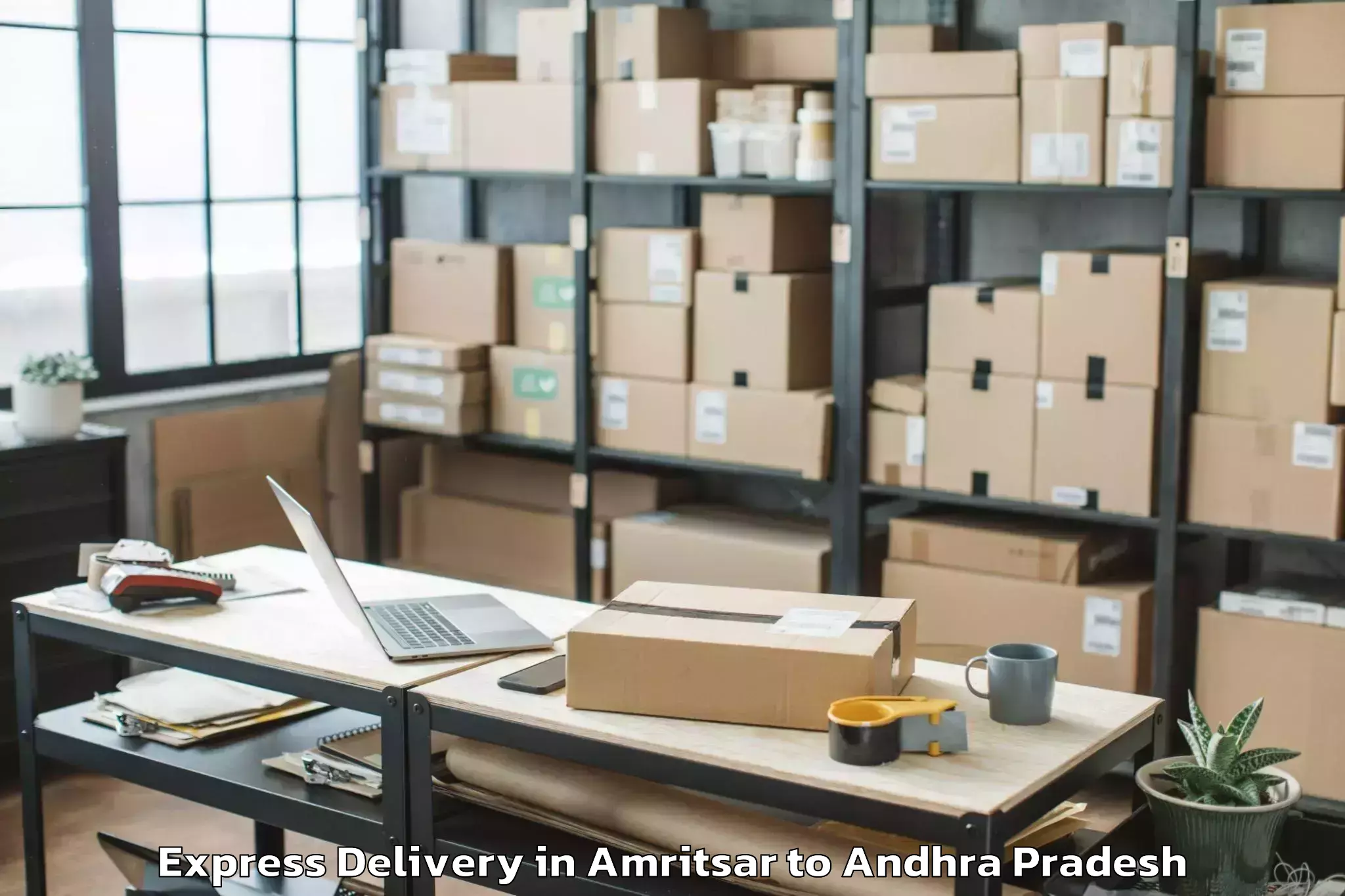 Quality Amritsar to Mamidikududru Express Delivery